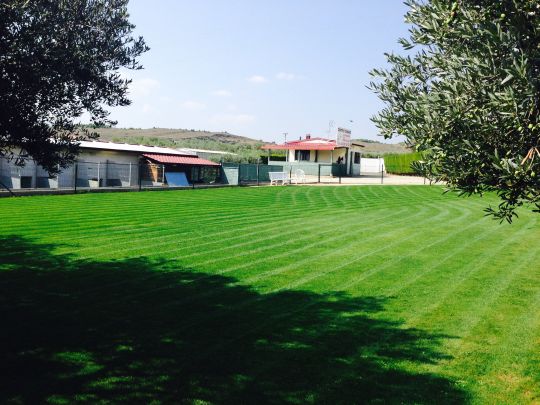 Vehículos del Centro Canino El Olivar